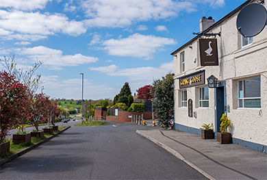 Garforth Gaping Goose