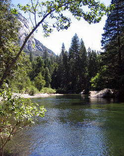 Merced River, Yosemite NP