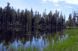 Siesta Lake, Yosemite NP