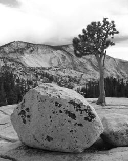 Olmstead Point, Yosemite NP