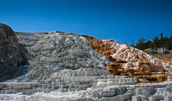 Mammoth Hot Springs