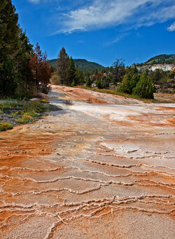 Mammoth Hot Springs