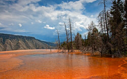 Mammoth Hot Springs