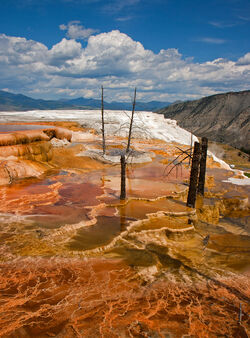 Mammoth Hot Springs