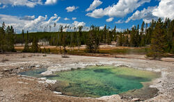 Norris Geyser Basin