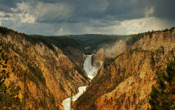 Lower Yellowstone Falls