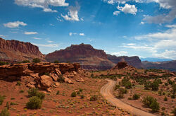 Goosenecks Overlook