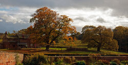 Temple Newsam, October 2009